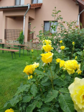 Гостиница Casa Daria  Хацег 